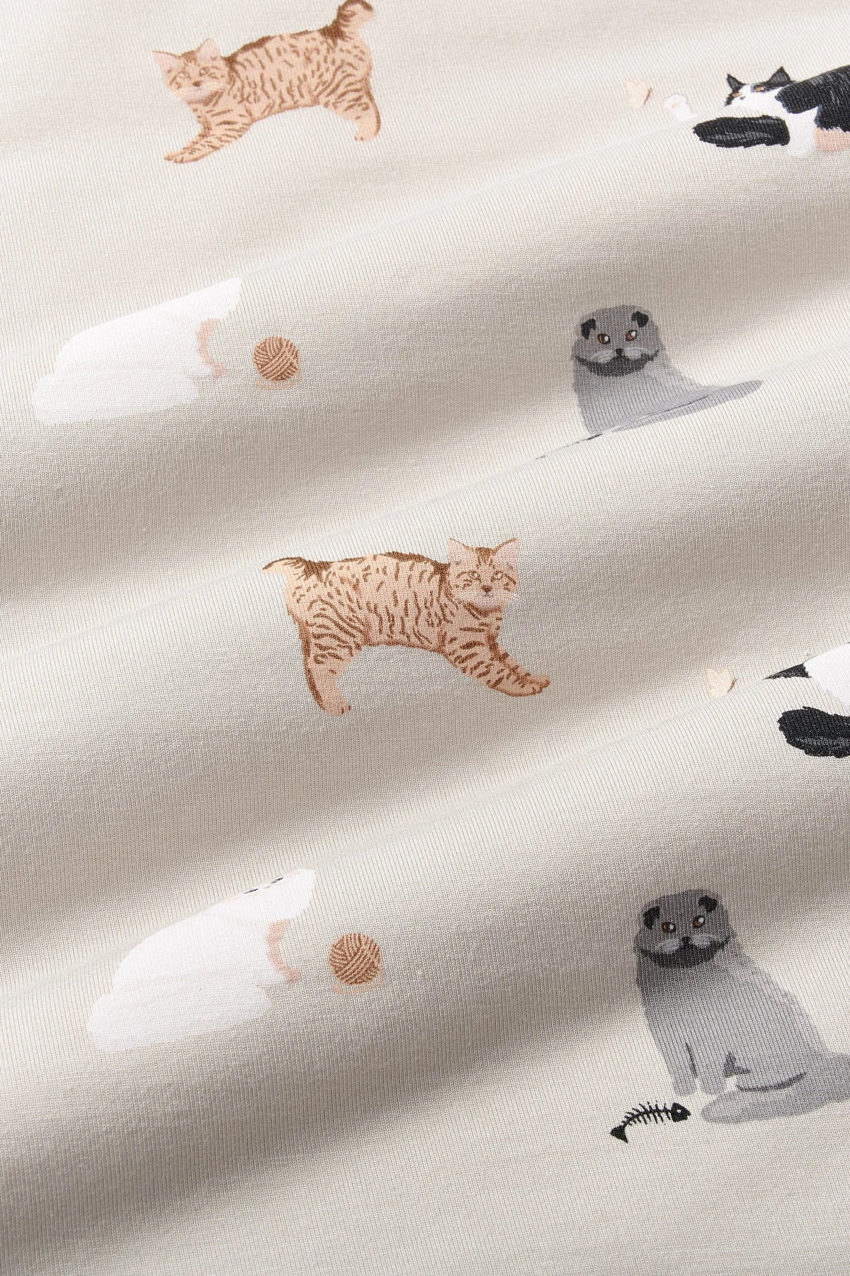 Women's Lounge Pants in Fluffy Cat