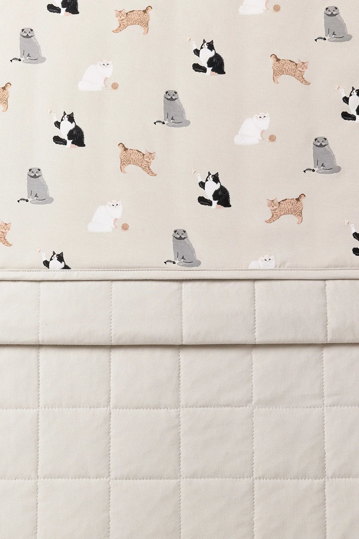 Baby Blanket in Fluffy Cat