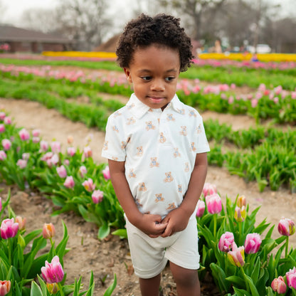 Toddler Short Sleeve Polo in Teddy Bear