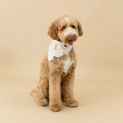 Dog Bandana in Fluffy Dog