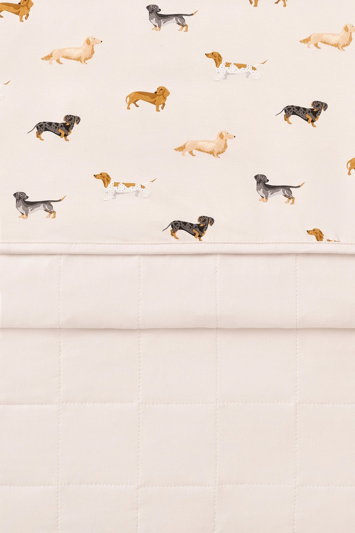 Baby Blanket in Dachshund 1.0